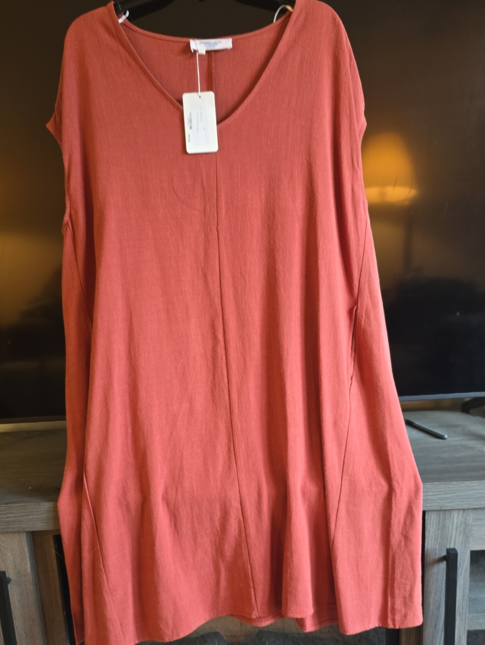 Double Zero Rust V-Neck Tunic Top/Dress